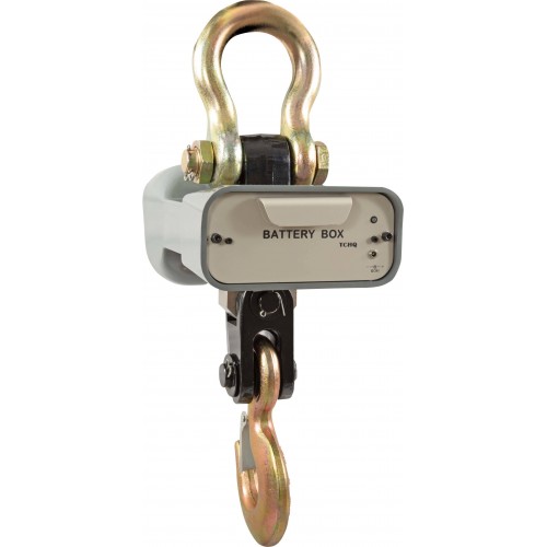 CAS Весы 2 THA (Caston 1) CAS Весы 2 THA (Caston 1)